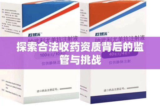 合肥探索合法收药资质背后的监管与挑战