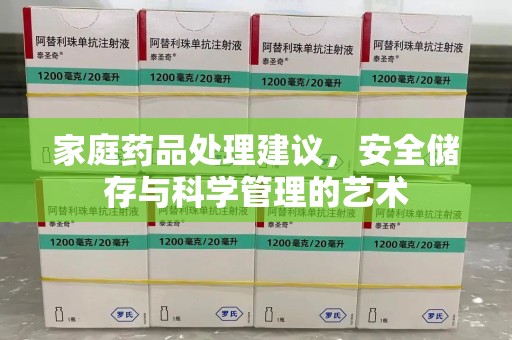 合肥家庭药品处理建议，安全储存与科学管理的艺术