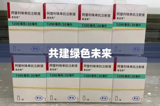 合肥共建绿色未来