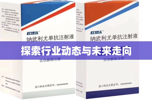 合肥探索行业动态与未来走向