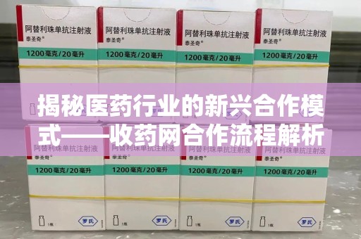 合肥揭秘医药行业的新兴合作模式——收药网合作流程解析