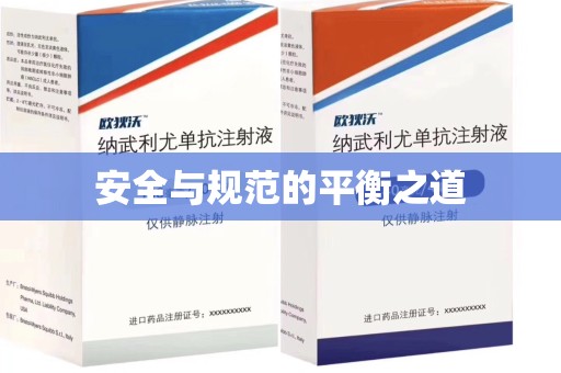 合肥安全与规范的平衡之道