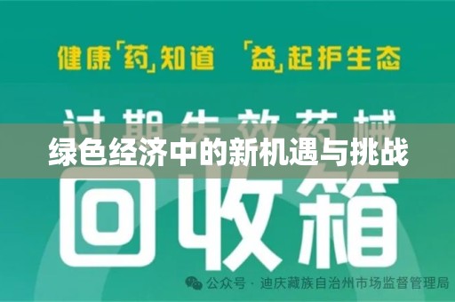 合肥绿色经济中的新机遇与挑战