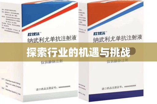 合肥探索行业的机遇与挑战