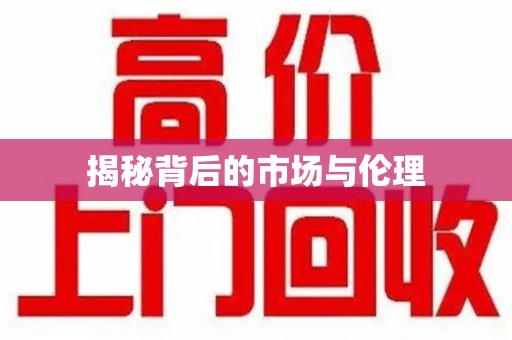 合肥揭秘背后的市场与伦理